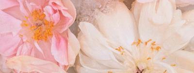What is Skin Purging? - Aceology Beauty US
